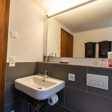 Chasa Gernet Buorcha Appartement Scuol