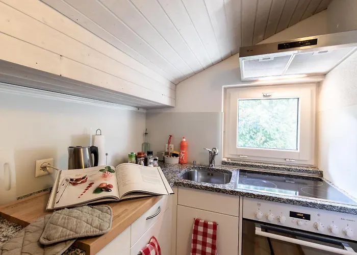 Chasa Gernet Buorcha Appartamento Scuol